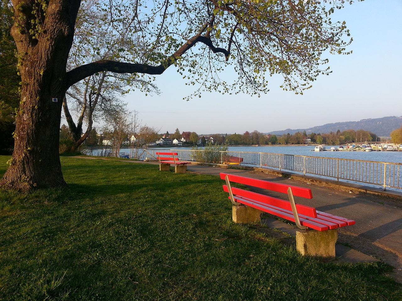 点明C罗的 点明C罗的